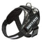 Dog Body Harness - Bunty Yukon Harness