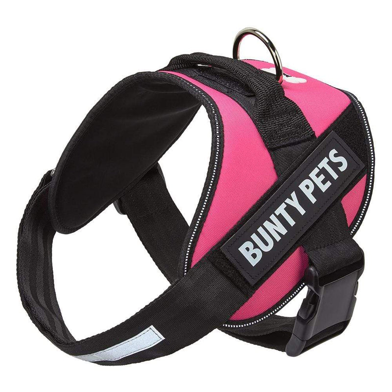 Bunty dog harness deals size guide