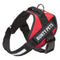 Dog Body Harness - Bunty Yukon Harness